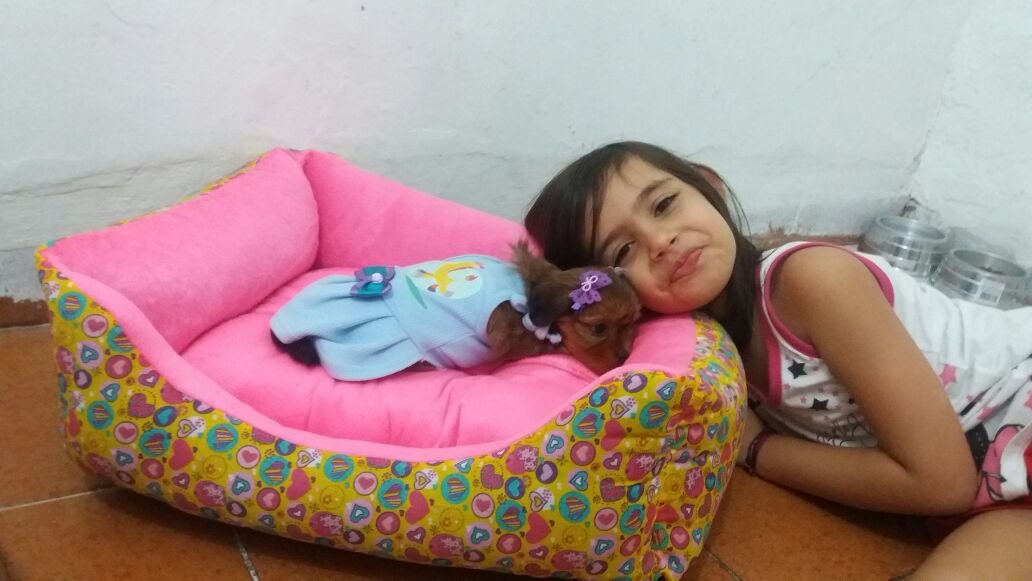 Livia